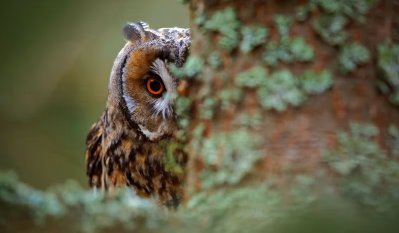Brownstone Institute - Možná více lidí protestovalo, než jsme věděli&nbsp;