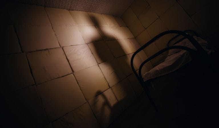 Brownstone Institute - The CDC Doctor Responsible for Hiding Myocarditis and Promoting Vaccines