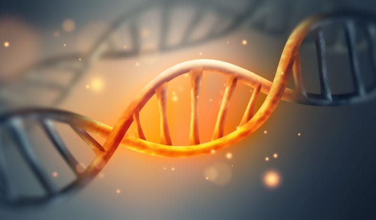 Meet the Latest Vaccine Propagandist