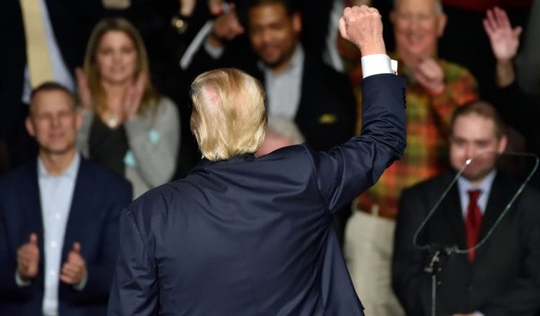 Trump: Just a Big Government Statist