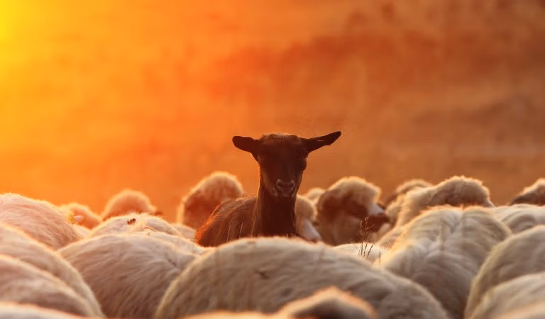 一个不遵守规定的国家