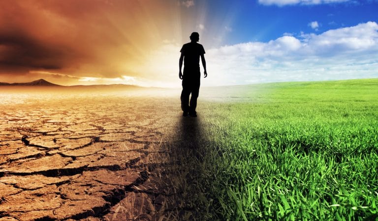 The Cruelty of Modern Death - Brownstone Institute