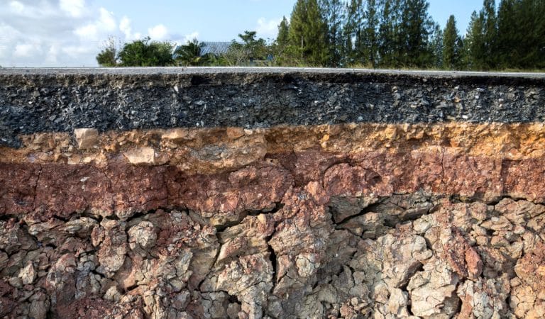 Brownstone Institute - The Administrative State is Destroying our Country