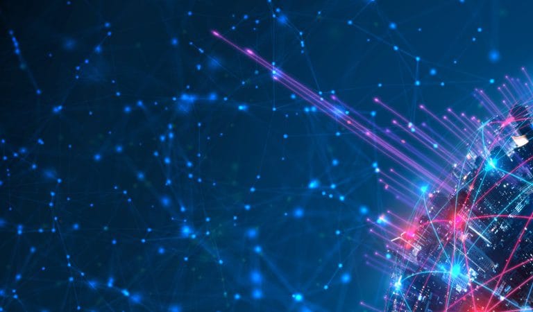 Brownstone Institute - Assange, Elon, and the News Not Fit to Print