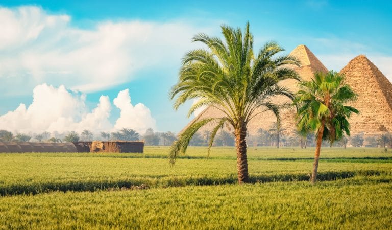 Brownstone Institute - So Long Ago That It Never Really Happened