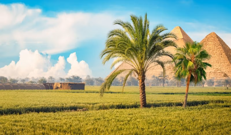 Brownstone-instituutti - niin kauan sitten, ettei sitä koskaan oikeasti tapahtunut