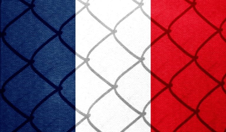 Brownstone Institute - France Teeters on the Brink