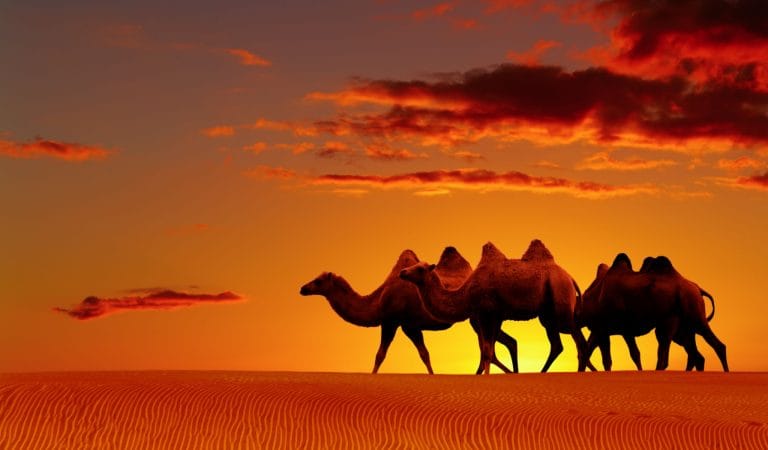 A Vision for a New Liberalism - Brownstone Institute