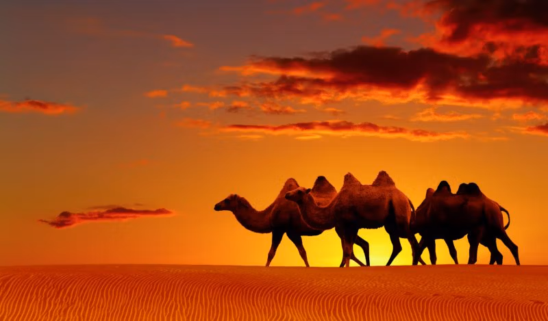 Egy új liberalizmus víziója - Brownstone Intézet