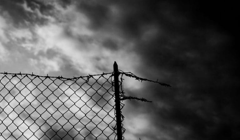 Brownstone Institute - Gears of the Refugee Machine