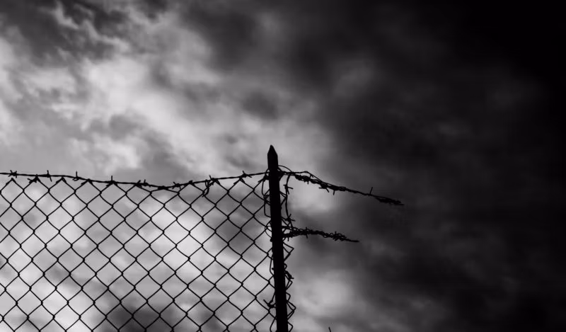 Brownstone'i Instituut - Pagulasmasina käigud