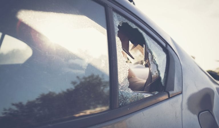 Brownstone Institute - The Great Reset Didn’t Work: The Case of EVs