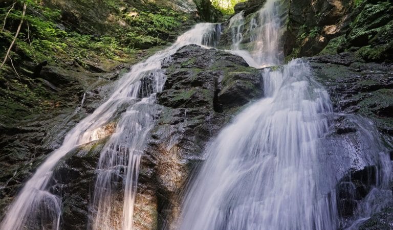 Brownstone Institute - Massachusetts Gone Rogue