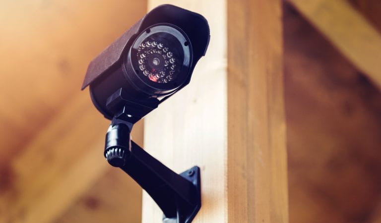 Brownstone Institute - The Greatest Trick Big Brother Ever Pulled