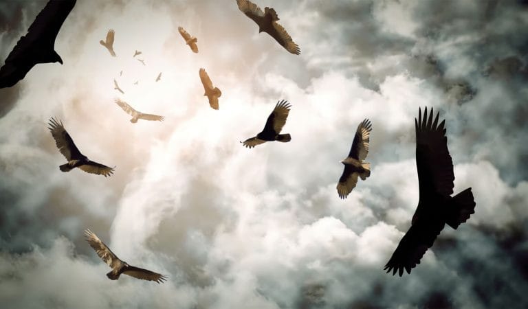 A Digital Coup d’Etat - Brownstone Institute