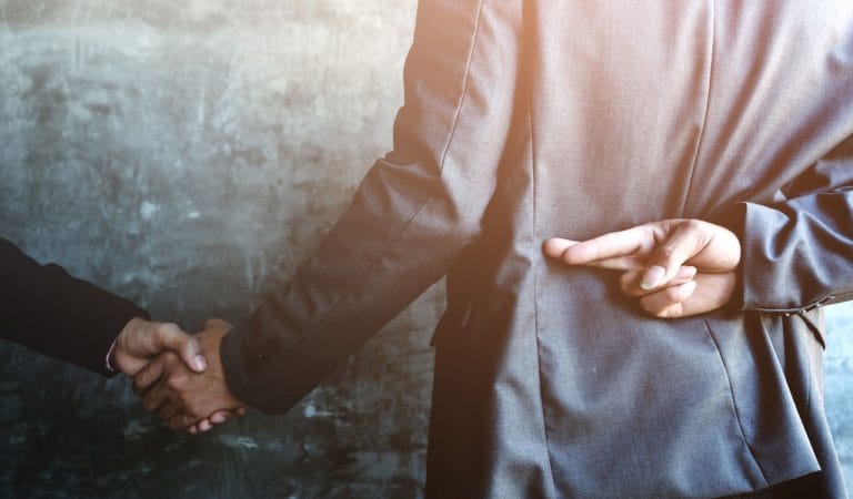 The Year of Elections