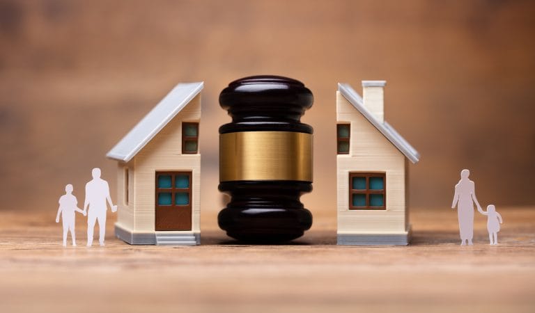 The Irish Government Failed to Redefine the Family - Brownstone Institute