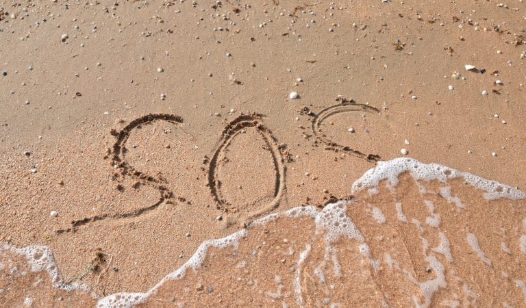 Free Speech on Trial - Brownstone Institute