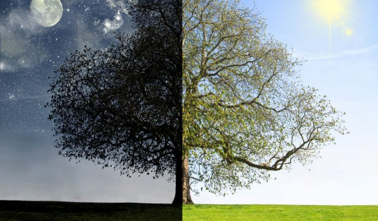 The War Between Knowledge and Stupidity - Brownstone Institute