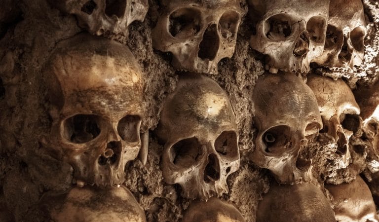 The History of Public Health Colonialism - Brownstone Institute