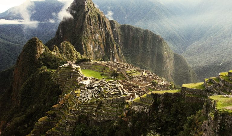 We Build Anew in Australia - Brownstone Institute