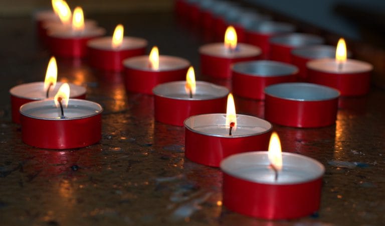 The Virality Project's Censorship Agenda - Brownstone Institute