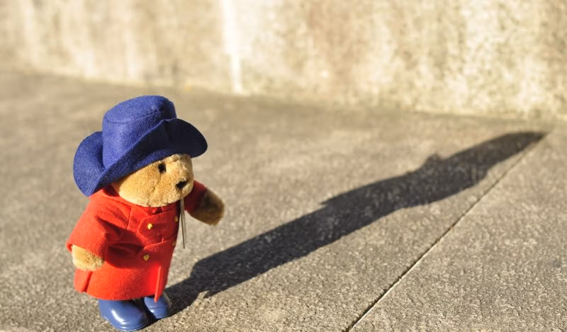 ჯანდაცვაში ჩვენ ბრმად ვფრინავთ