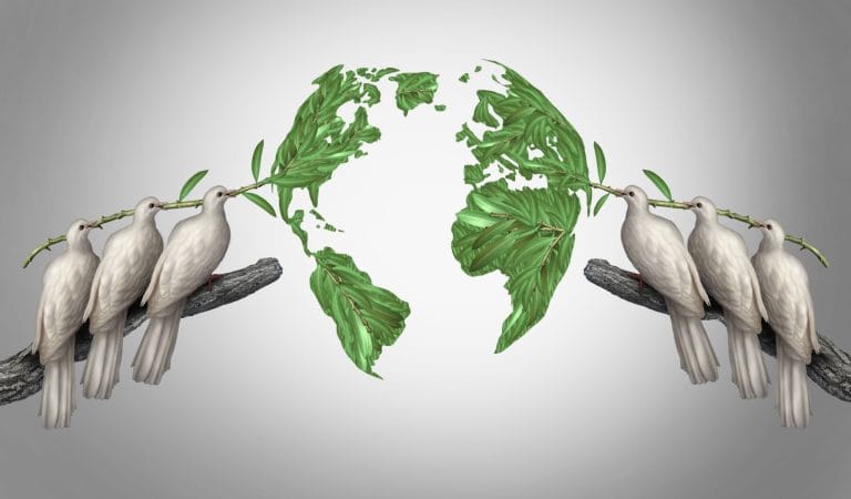 The WHO Pandemic Agreement: A Guide - Brownstone Institute