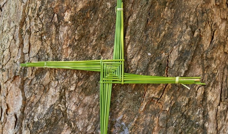 Technocrats Cut Ireland at the Knees - Brownstone Institute