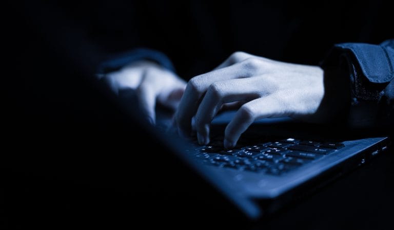 The Amateur Who Unraveled Wuhan