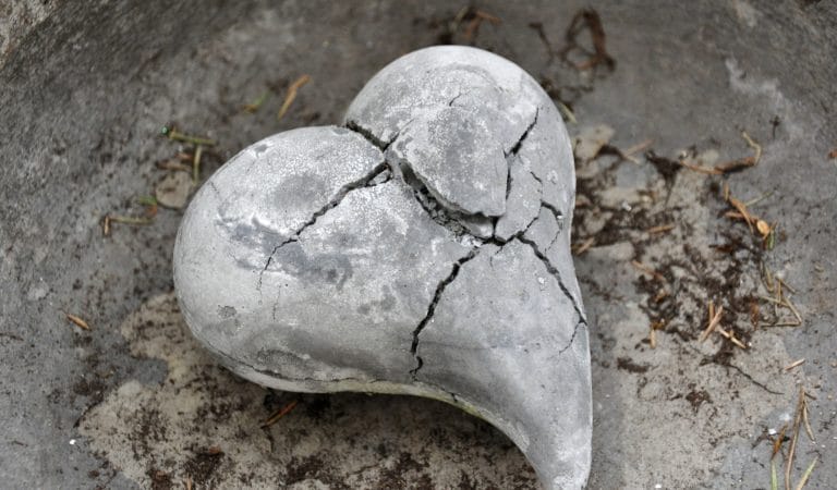 Divided We Fall - Brownstone Institute