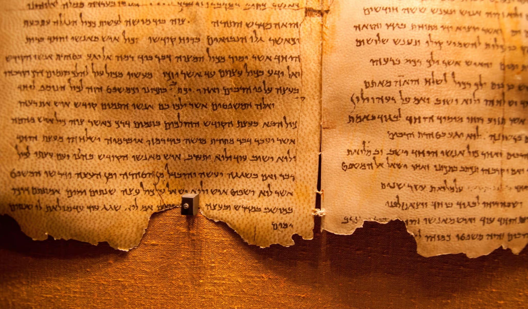 What We Lost Between Then and Now - Brownstone Institute