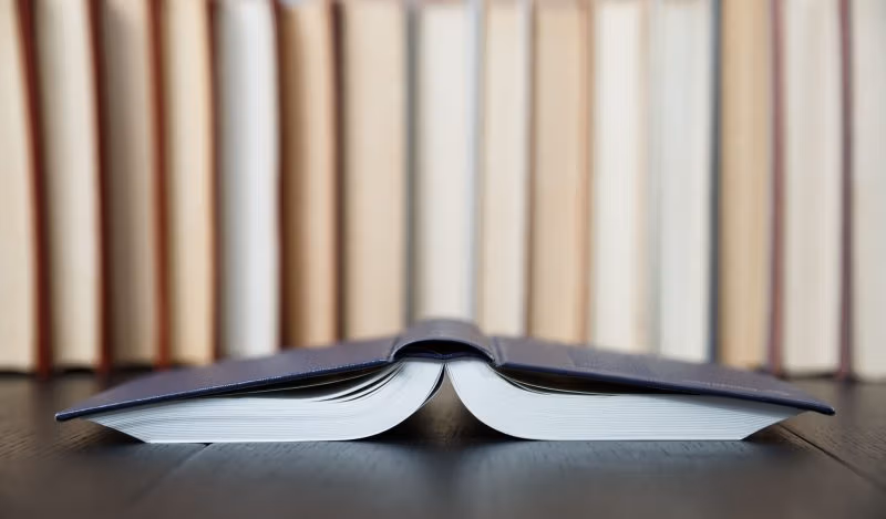 პოინტერის შემზარავი „ფაქტებზე დაფუძნებული გამოთქმა“