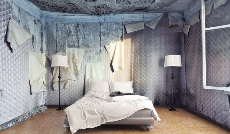 The Nursing Home Paradox