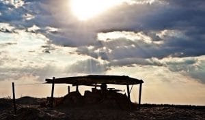 WHO Official Admits the Truth About Passports ⋆ Brownstone Institute