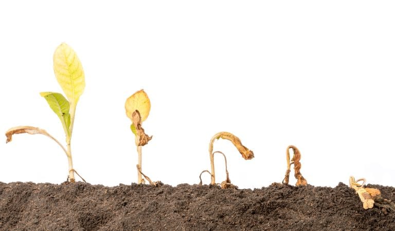 On the Modern Plight of the Youth