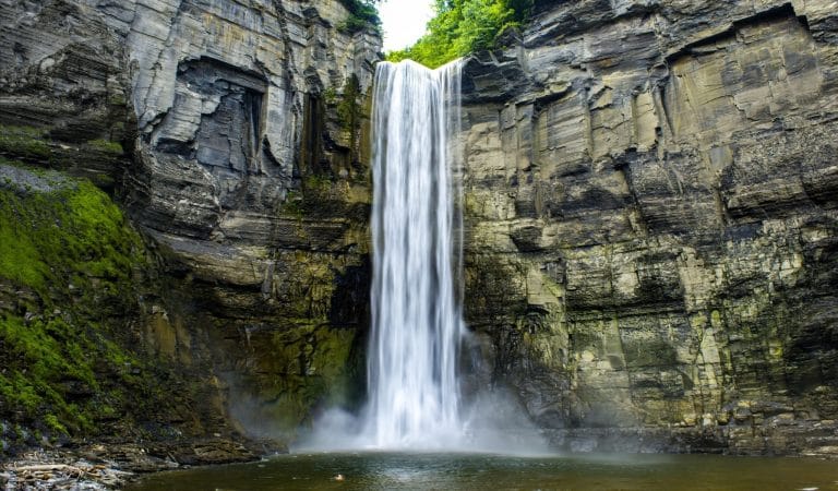 The Rich Get Richer: Thank the Fed