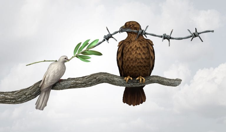 The WHO Proposals: An Open Letter