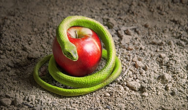 How the 'Bioterrorism' Era Began