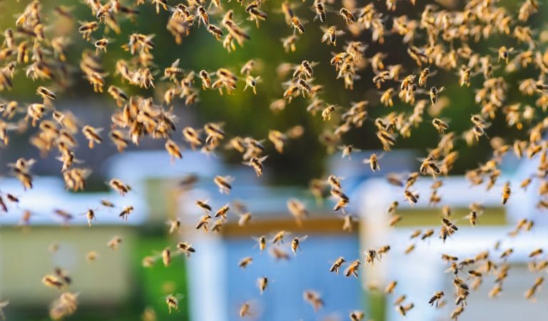 The Numbers Favor Our Side