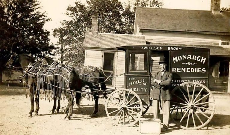 Are Safety Reports from Covid mRNA Shots Due to Lack of FDA Ingredient Clarity? - Brownstone Institute