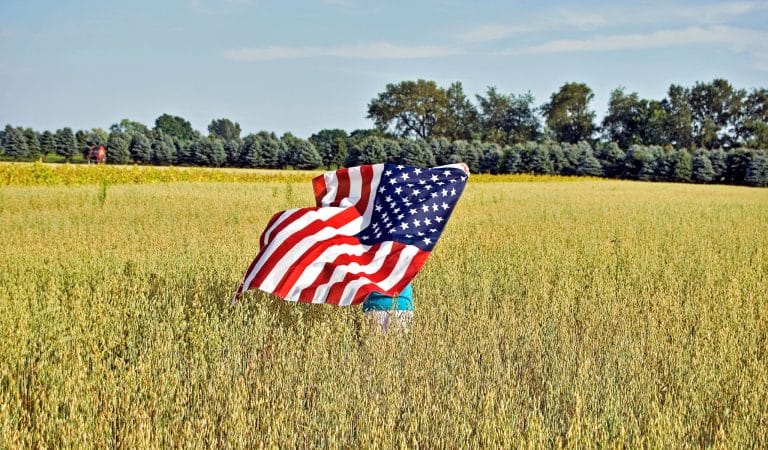 Journey through an Exposed America