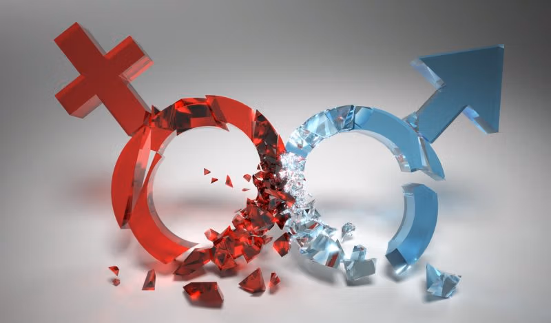 Como a ideologia de gênero gera leis tóxicas