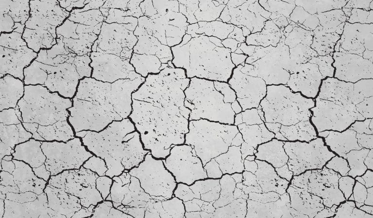 Their Strategy in the War on Food