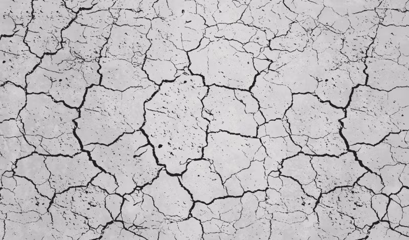 Ihre Strategie im Krieg um Nahrungsmittel