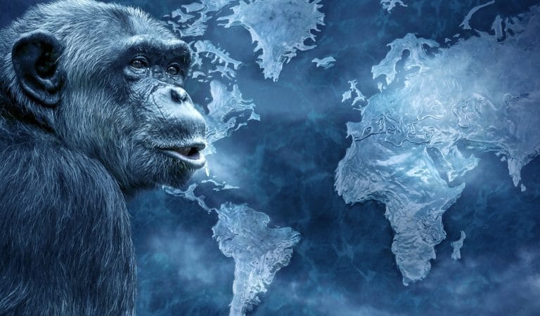 The NIAID is a Repeat Offender