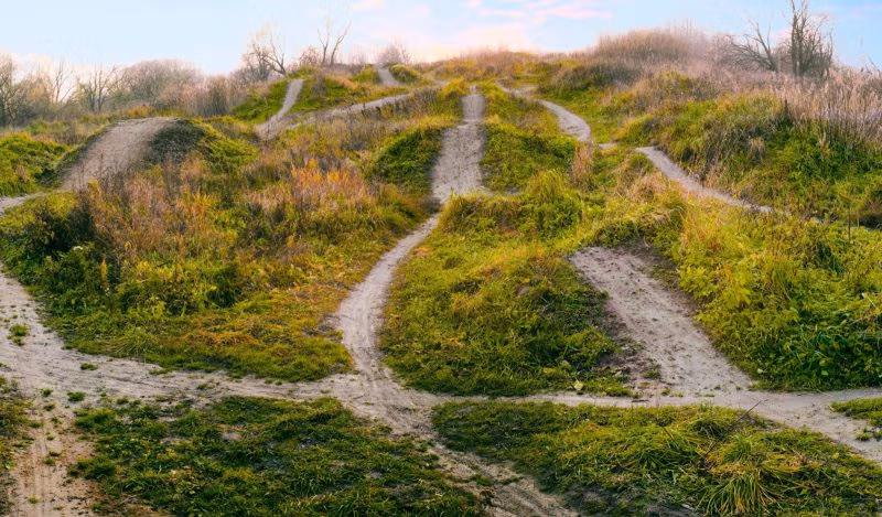 De FDA-bezuinigingen