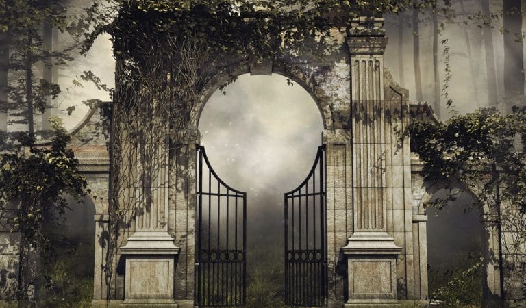 IHR Amendments Open Door to Perpetual Emergencies