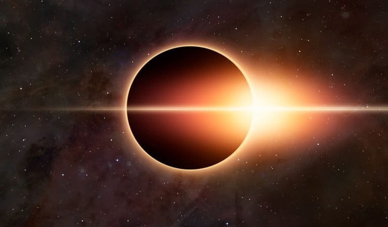 Immunology Needs Physics Envy