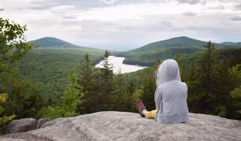 버몬트 대법원, 대형 제약회사에 어린이 희생